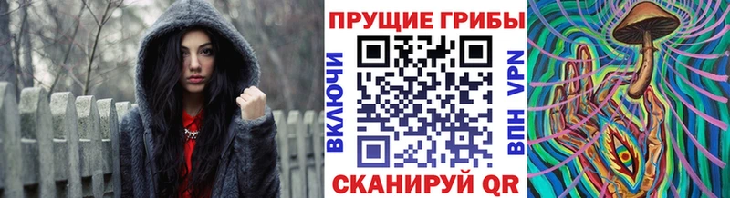 Галлюциногенные грибы мицелий  hydra зеркало  Сорск  купить  сайты 